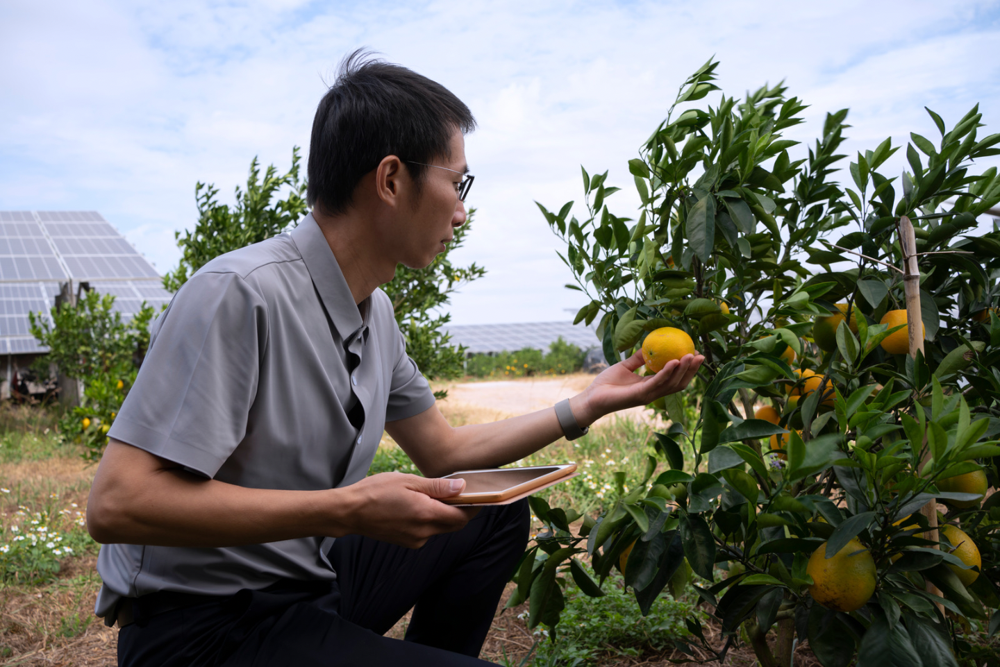 Revolutionizing AgriBusiness with Salesforce