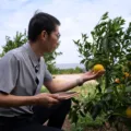 From Data Chaos to Clarity: Revolutionizing Agri-Business with Salesforce