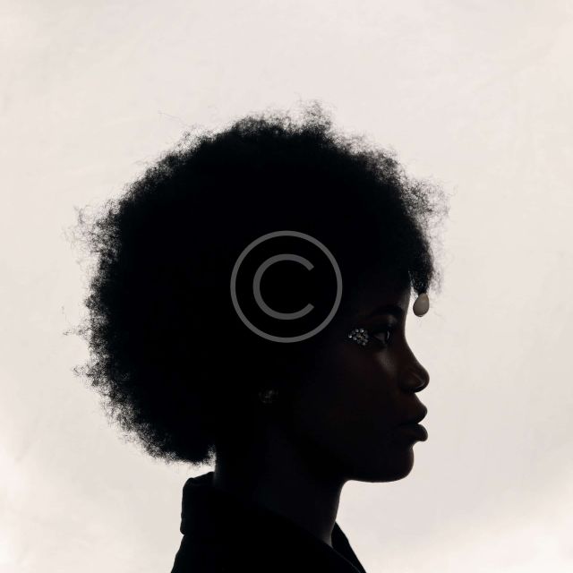 image-copyright (14)